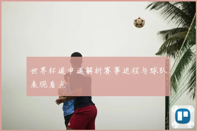 世界杯道中道解析赛事进程与球队表现看点