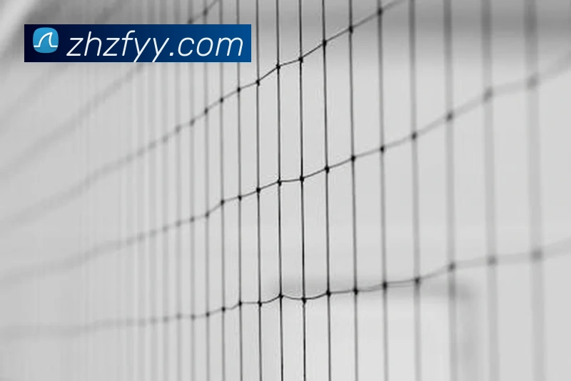 世界杯平台官网登录服务体系